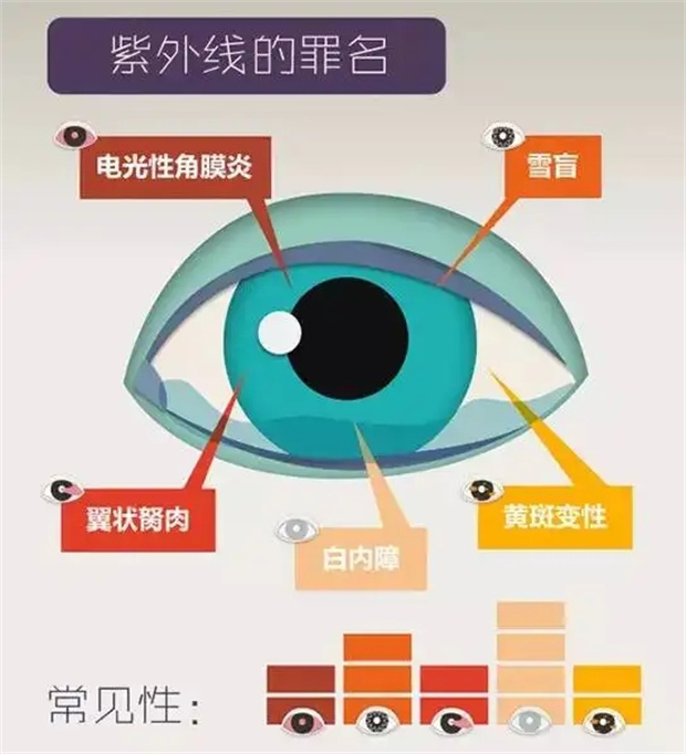 紫外线uv对人体的主要害处