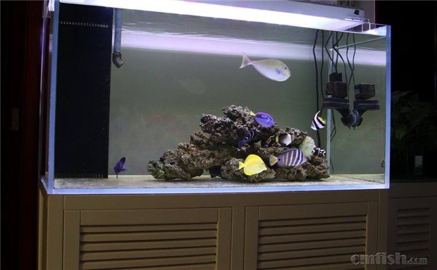 uv紫外线杀菌灯在鱼缸中使用效果